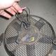 The “perpetual motion fan,” as found.